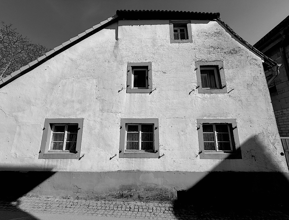 IMG_2026-03-20-103752.jpeg