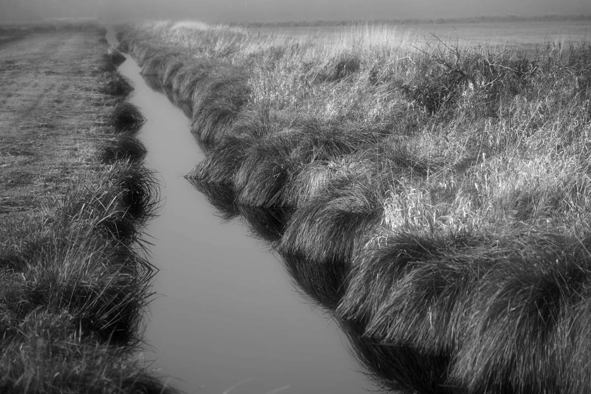 In den Seewiesen BW.jpg