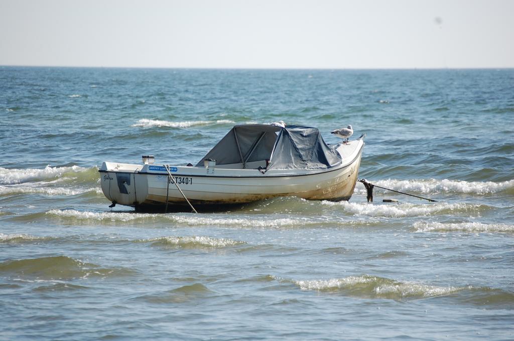 in der Ostsee