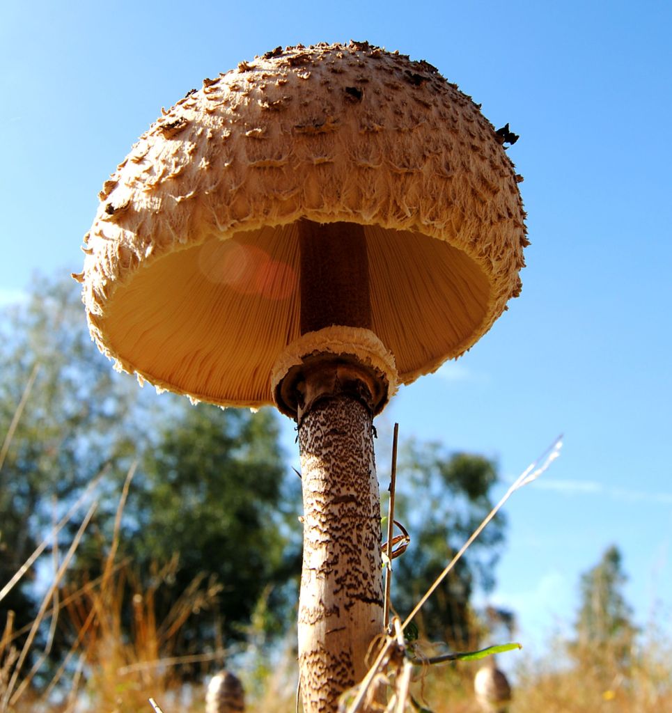 in der Tevernerheide am 30.09.2012