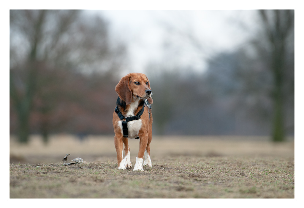 in die Weite