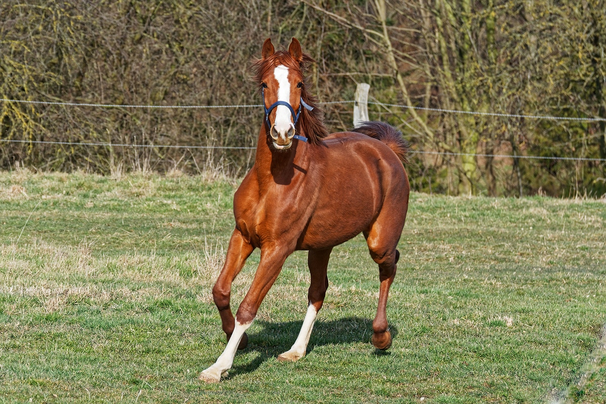 In Schräglage