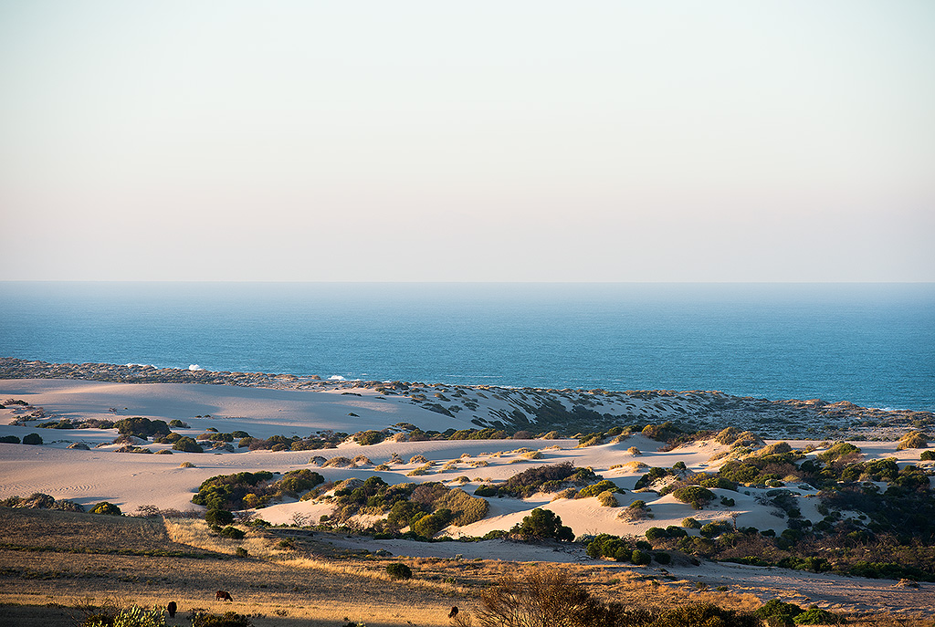 indian ocean