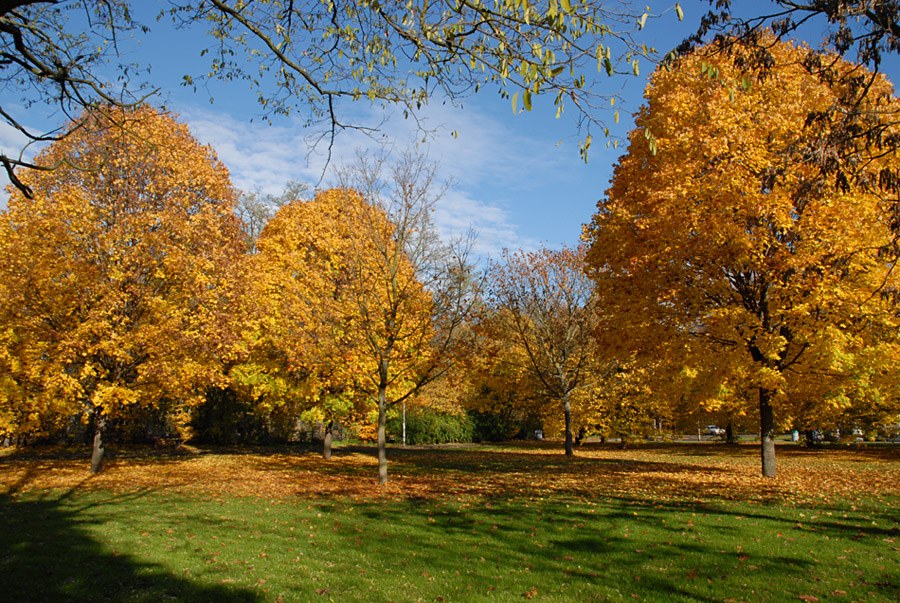 indian summer 2006