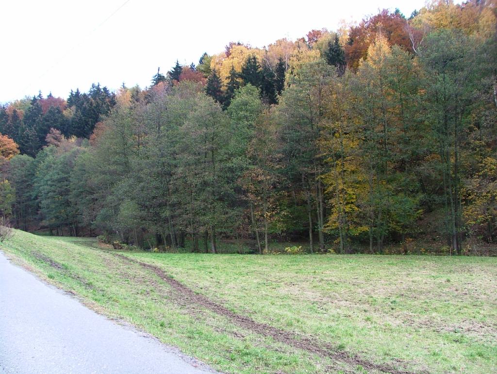 Indiansummer im Erzgebirge