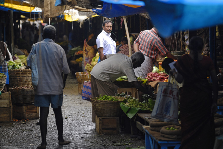 Indien 07