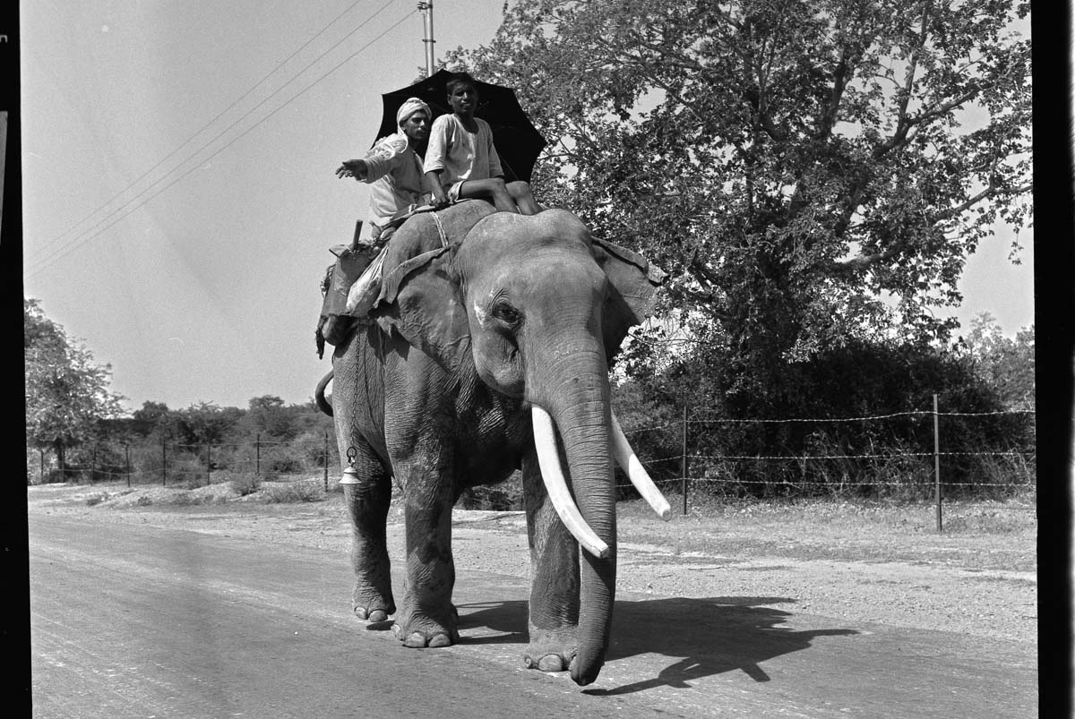 Indien1976-125.jpg
