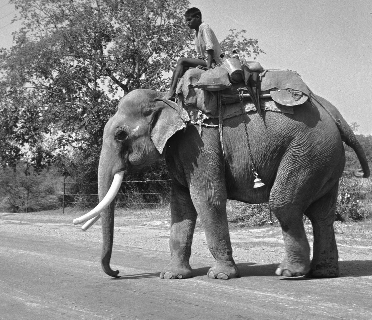 Indien1976-126.jpg