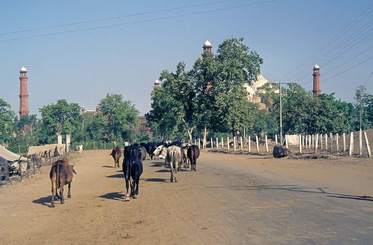 Indien1976-160.jpg