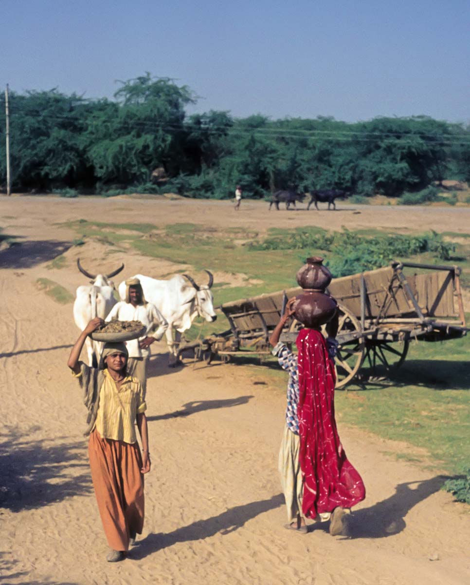 Indien1976-176.jpg