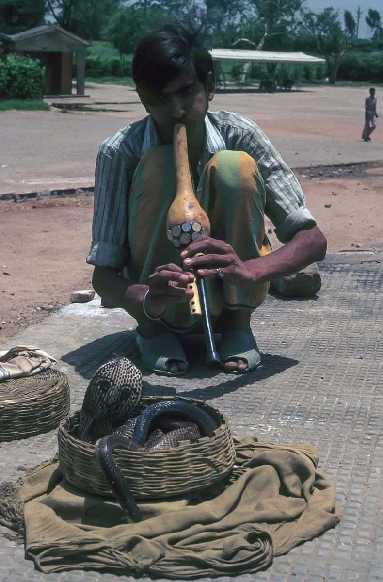 Indien1976-188.jpg