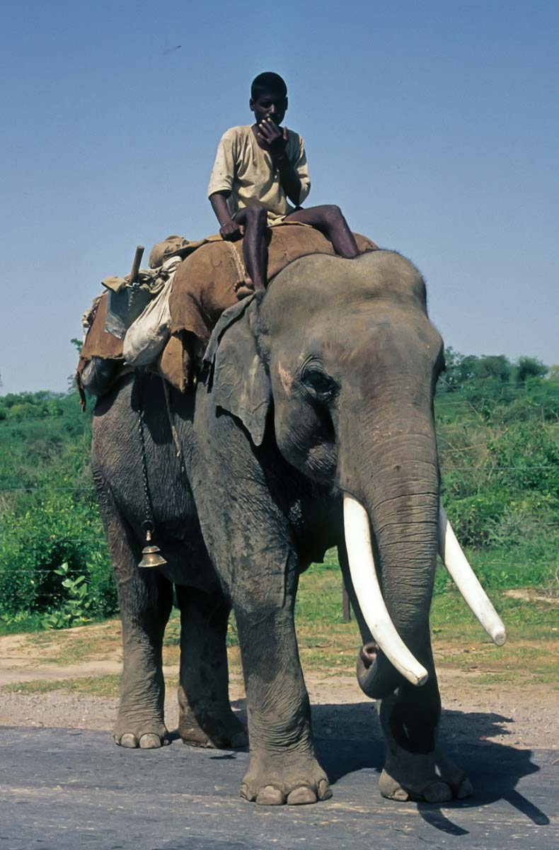 Indien1976-195.jpg