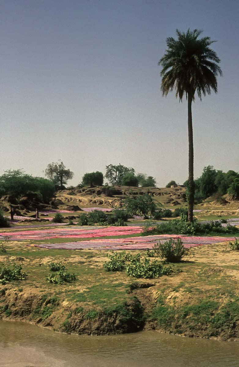 Indien1976-249.jpg