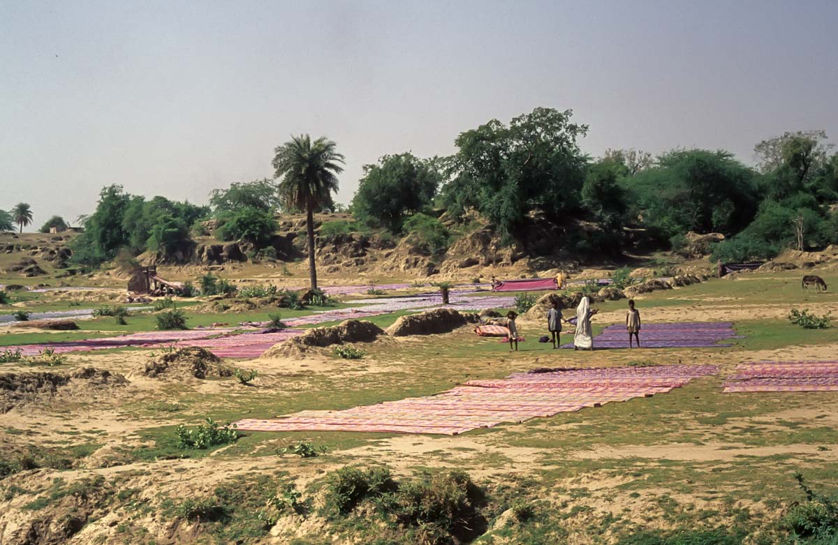 Indien1976-250.jpg