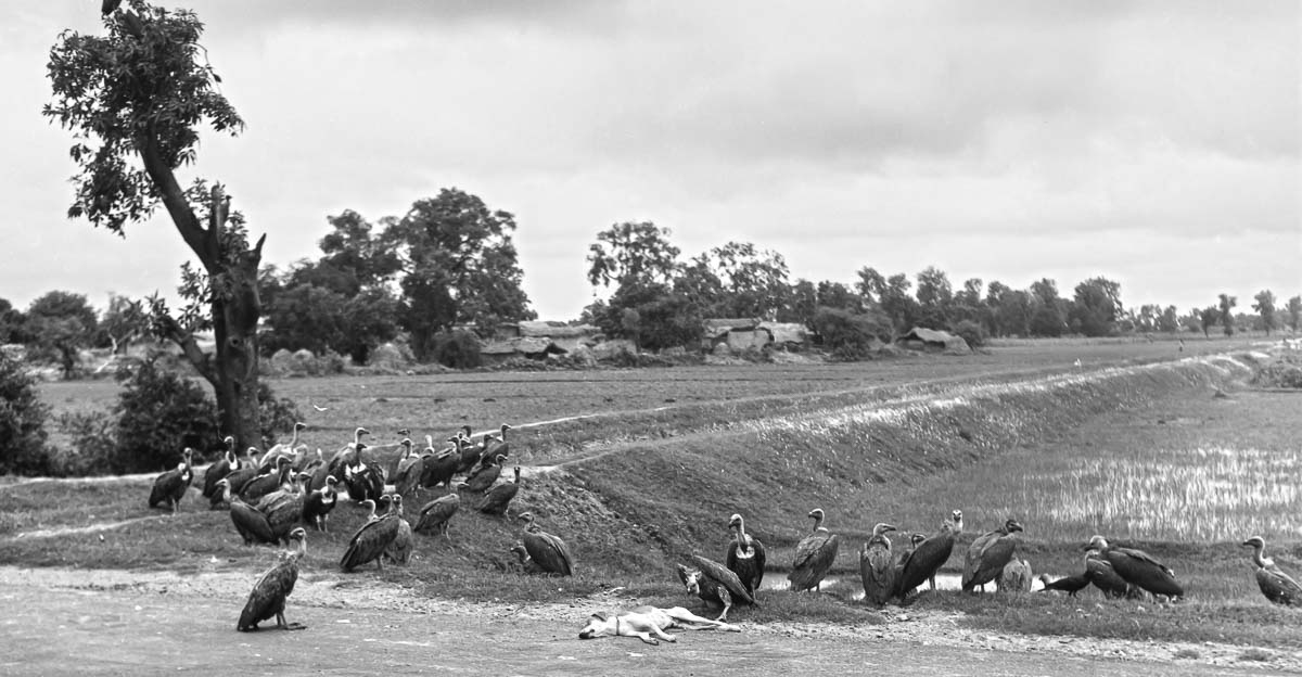 Indien1976-73.jpg