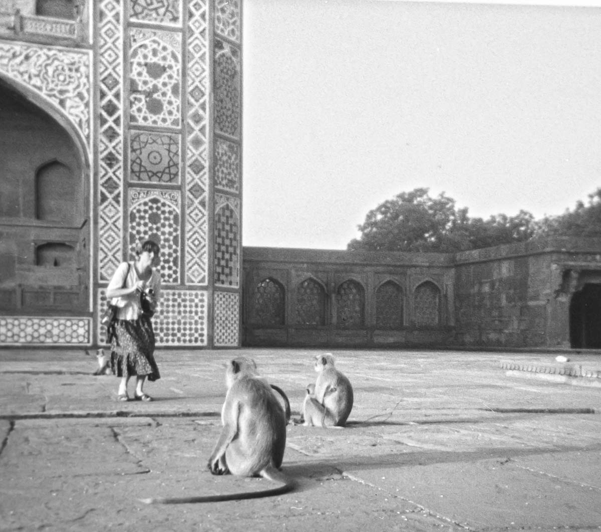 Indien1976-97.jpg