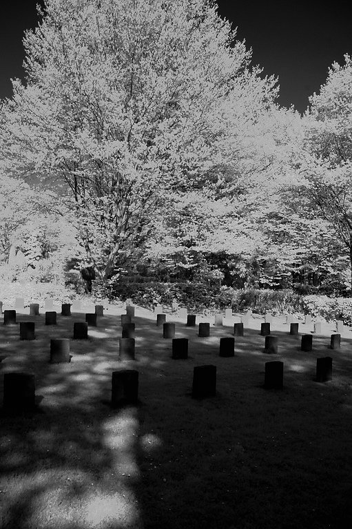 infrarot DSC 8838