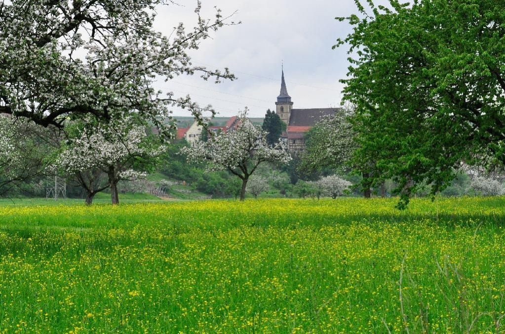 Ingersheim zwischen den Bäumen