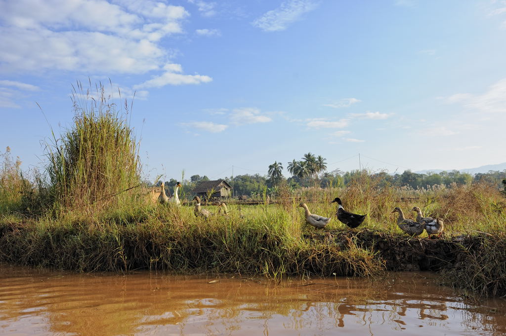 Inle-See
