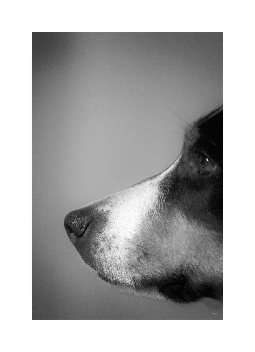 InnenDSC 0049