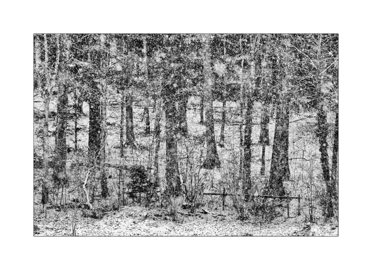 InnenDSC 0071