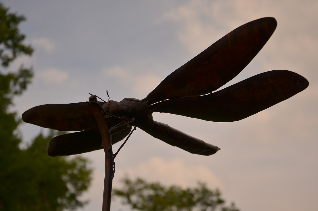 Insekten (1)