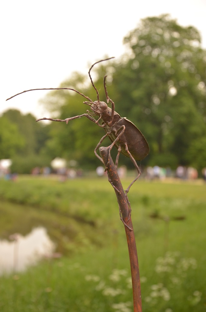 Insekten (2)