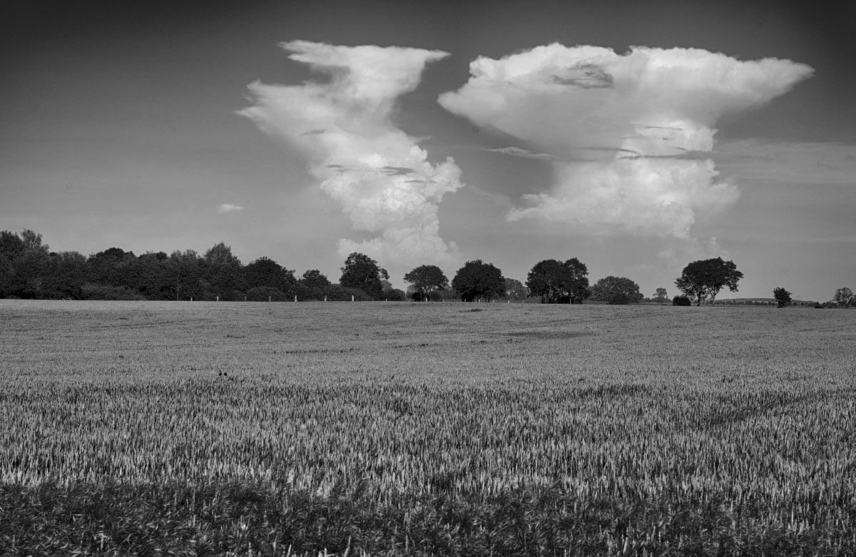 insel poel 2016 001bw