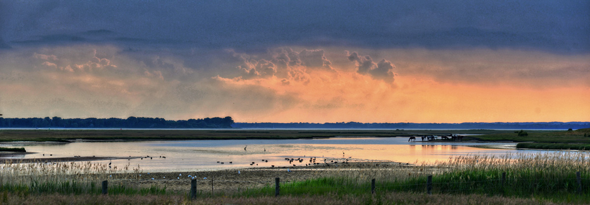 insel poel 2016