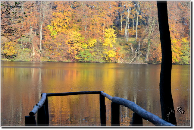 Insel Rügen - Herbst 2011 (1)