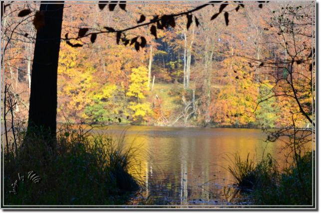 Insel Rügen - Herbst 2011 (2)