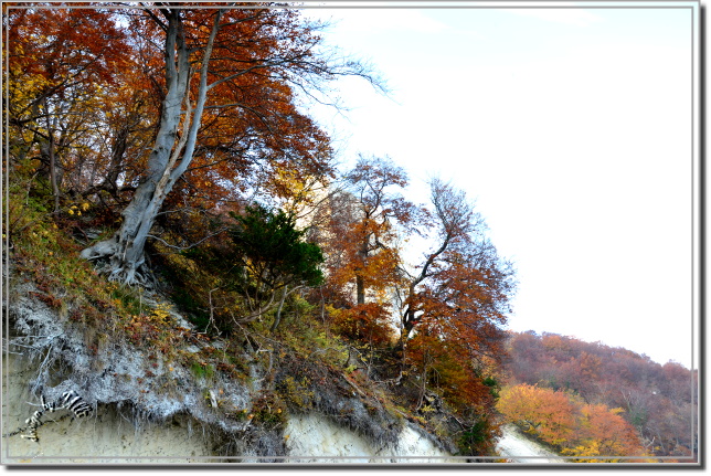 Insel Rügen  - Herbst 2011 (5)