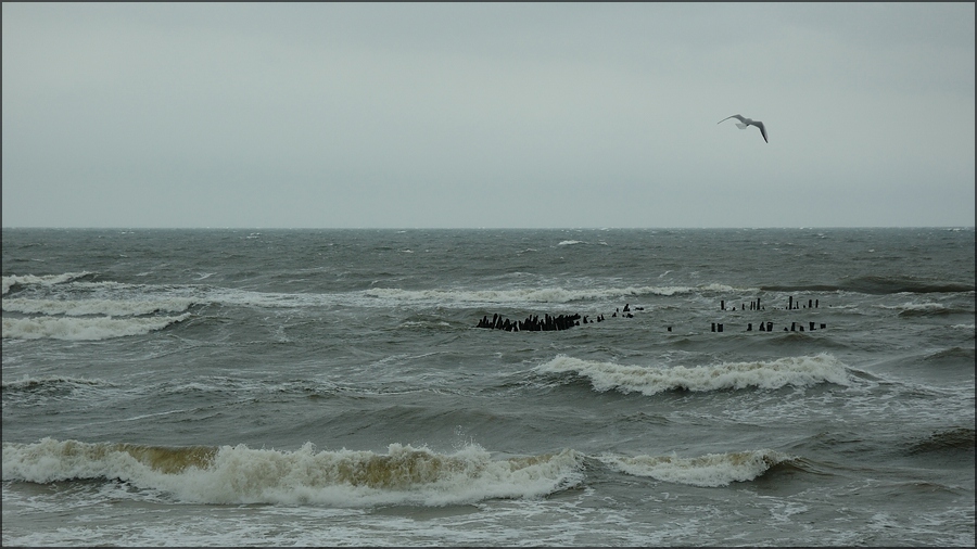 Insel Usedom 2012 03