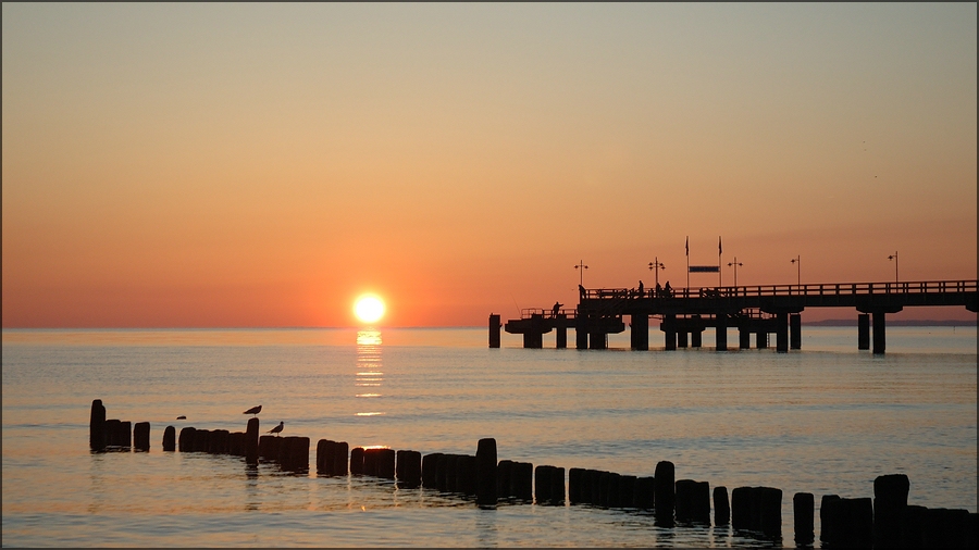Insel Usedom 2012 09