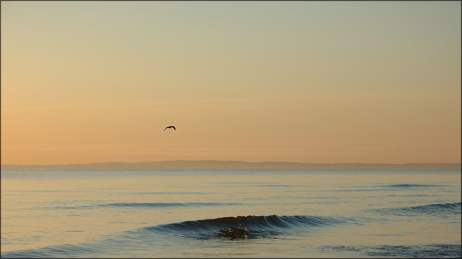 Insel Usedom 2012 12