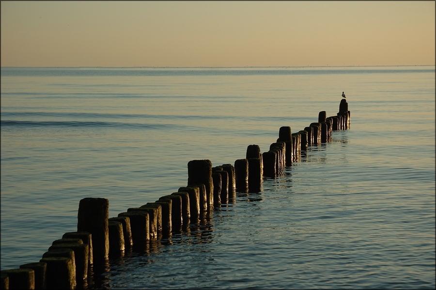 Insel Usedom 2012 13
