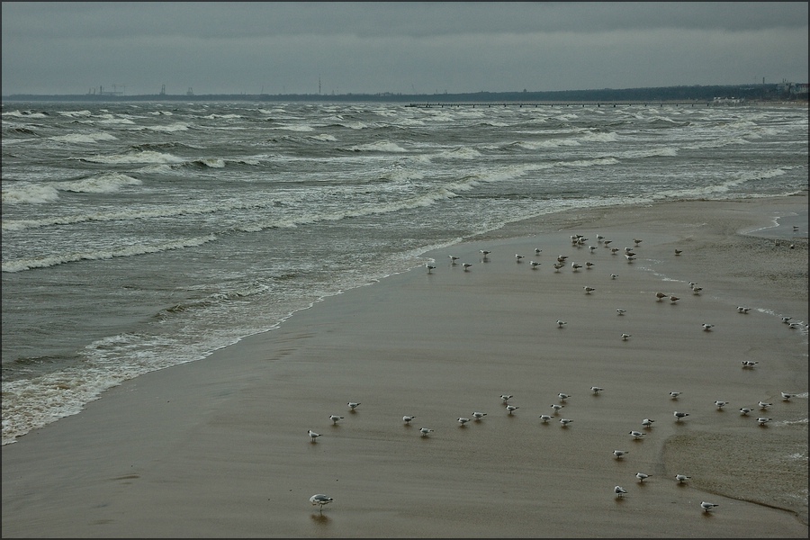 Insel Usedom 2012 16