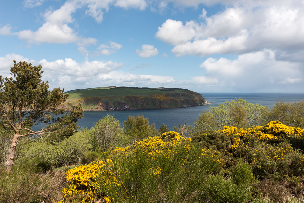 Inv 1 6