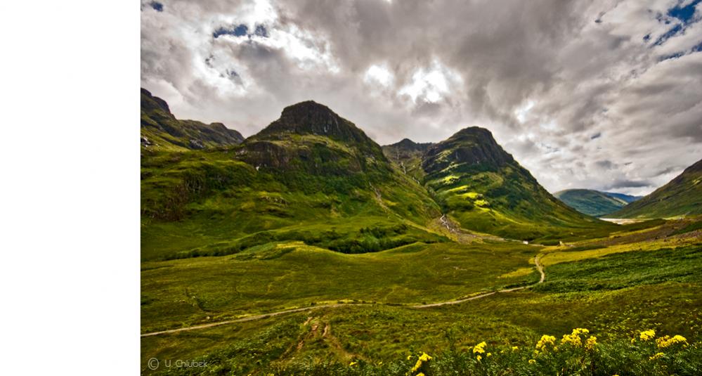INV glencoe#2