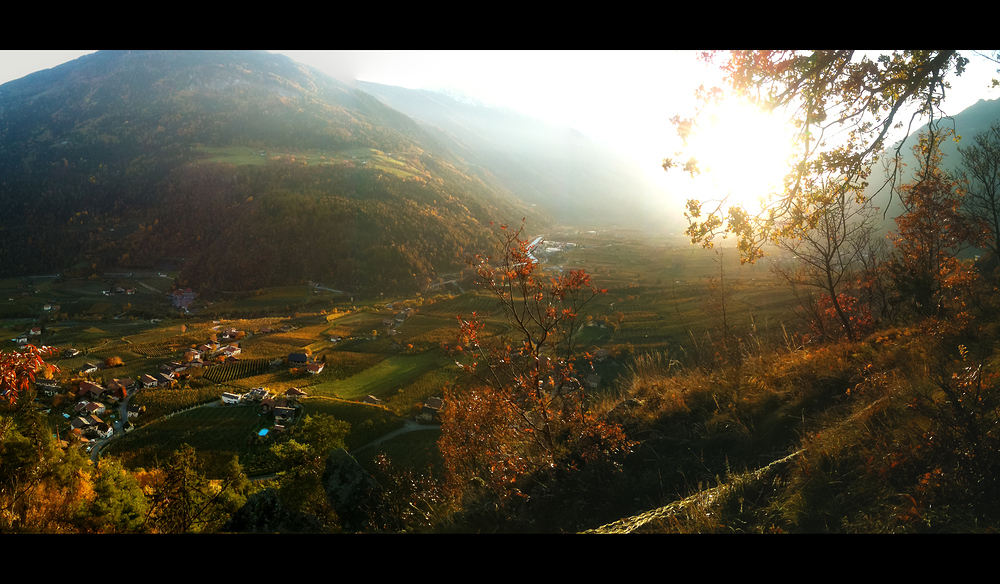 iphonepanorama