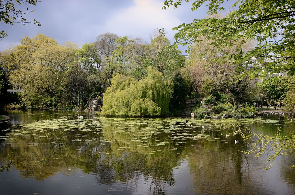 Irland DSC 0428