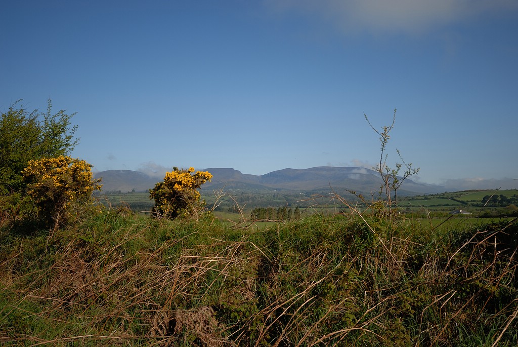 Irland DSC 2163