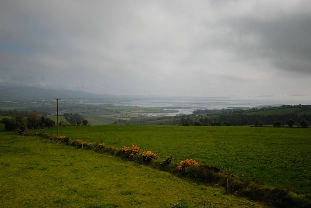 Irland DSC 2167