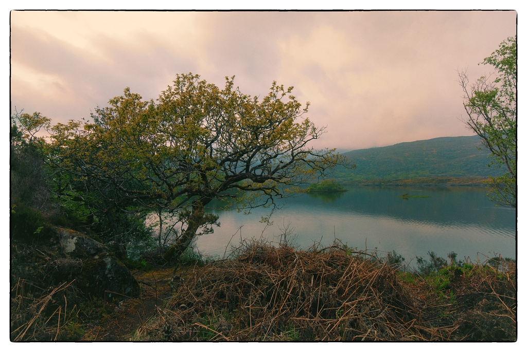 Irland DSC 2343