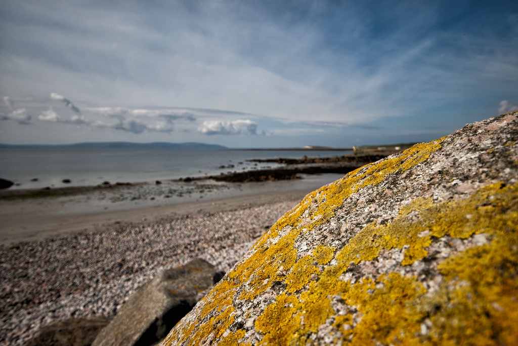 Irland DSC 2979