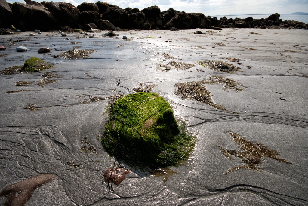 Irland DSC 2998