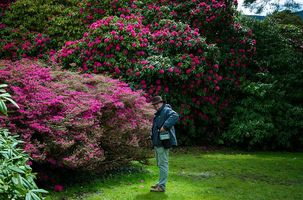 Irland DSC 6707