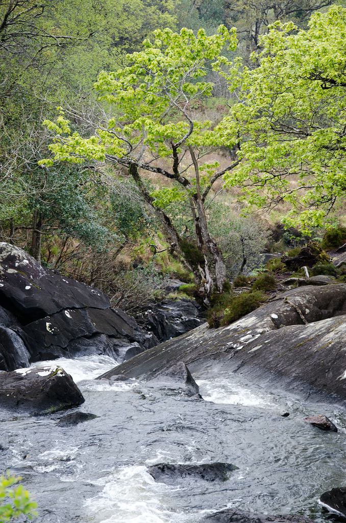 Irland DSC 9851