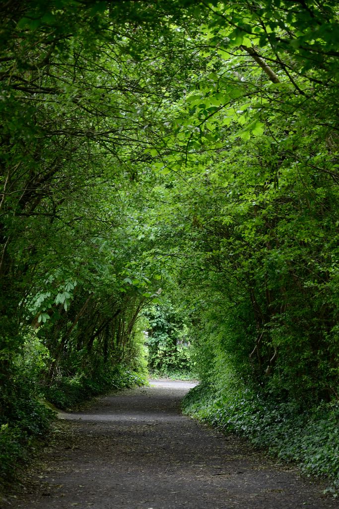 Irland DSC 9994