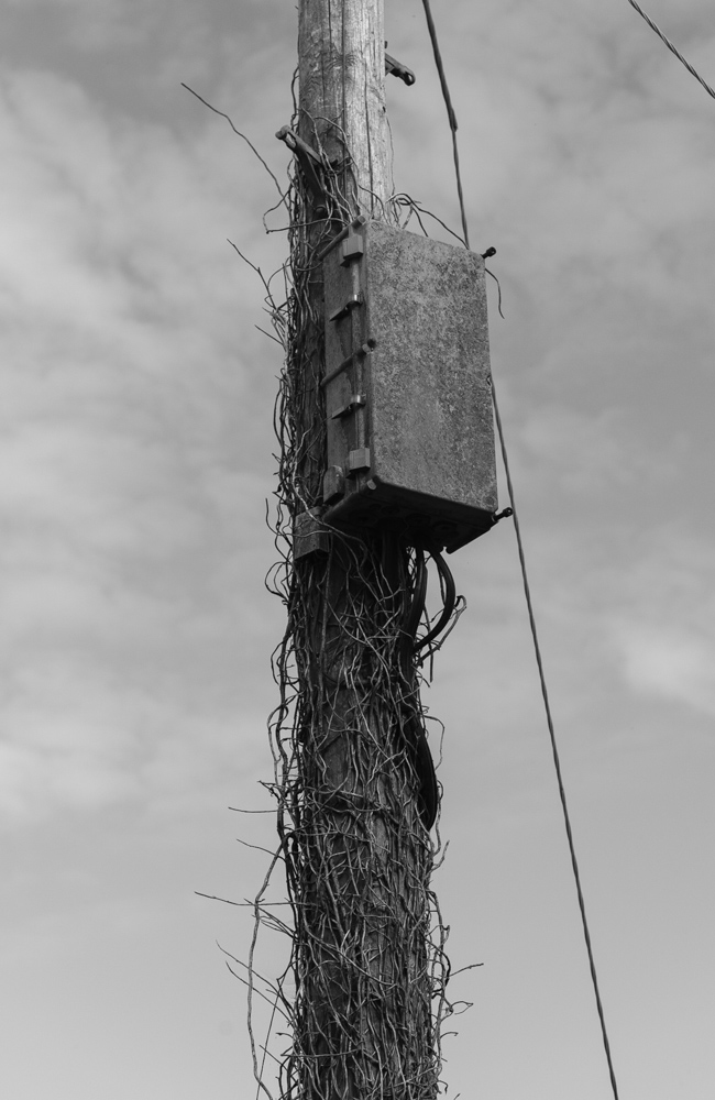 irland
strommast
schwarz weiß
